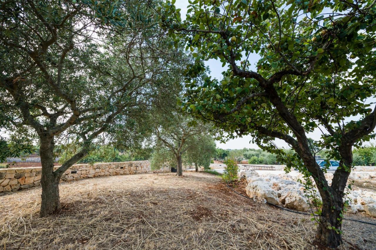 Masseria Mezza Ruota ألبيروبيللو المظهر الخارجي الصورة