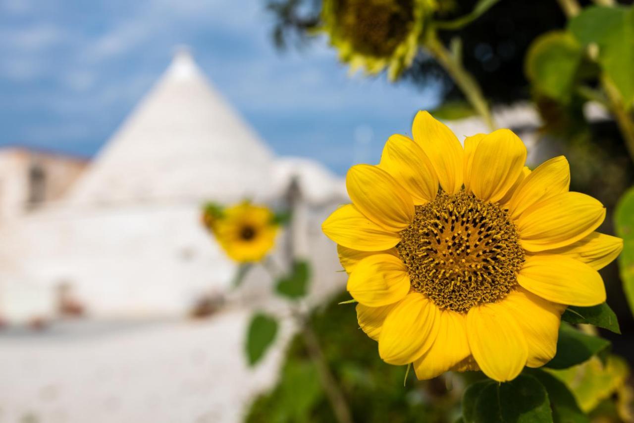 Masseria Mezza Ruota ألبيروبيللو المظهر الخارجي الصورة